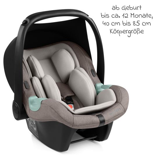 ABC Design Babyschale Tulip i-Size ab Geburt - 15 Monate (45 cm - 85 cm) inkl. Sonnenverdeck & Sitzverkleinerer - Nature