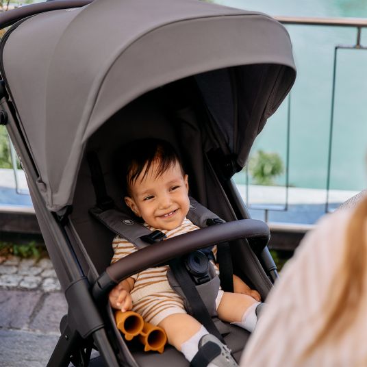 ABC Design Buggy & pushchair Avus 2 Air with pneumatic wheels, one-hand folding and height-adjustable push bar - Falcon