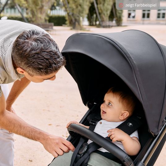 ABC Design Buggy & pushchair Avus 2 Air with pneumatic wheels, one-hand folding and height-adjustable push bar - Falcon