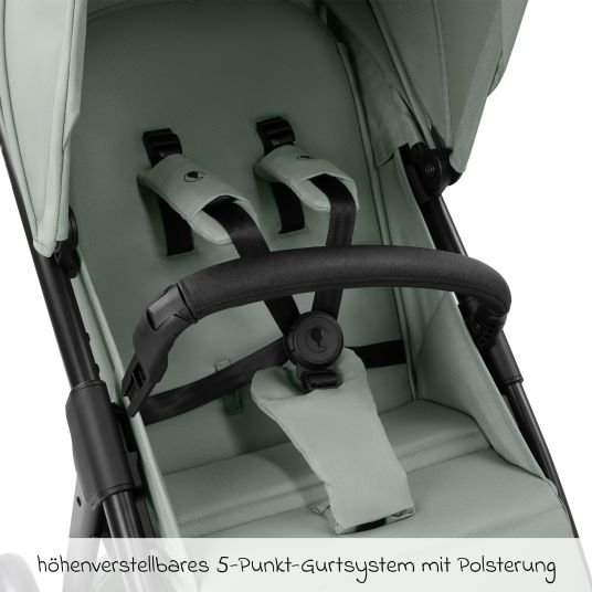 ABC Design Buggy & pushchair Avus 2 with one-hand folding and height-adjustable push bar - Pine