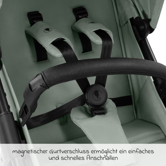 ABC Design Buggy & pushchair Avus 2 with one-hand folding and height-adjustable push bar - Pine