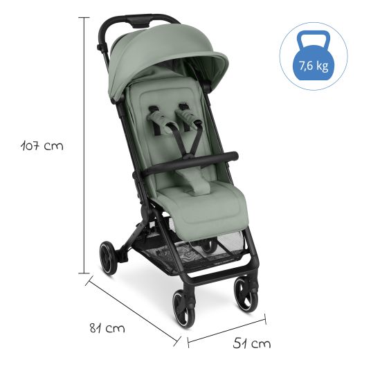 ABC Design Buggy & pushchair Ping 3 Travel up to 22 kg with flat reclining position incl. carrycot & shoulder strap - Pine