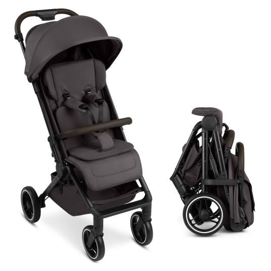 ABC Design Buggy & pushchair Ping 3 Trekking up to 22 kg with flat reclining position incl. seat insert, carry bag & shoulder strap - Falcon