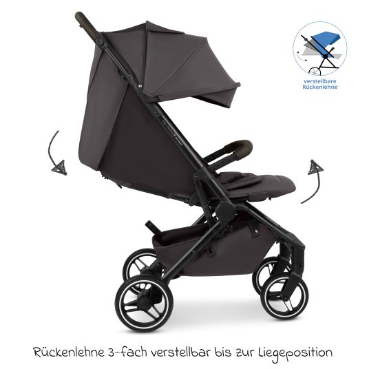 ABC Design Buggy & pushchair Ping 3 Trekking up to 22 kg with flat reclining position incl. seat insert, carry bag & shoulder strap - Falcon