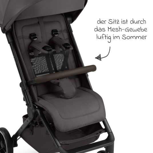 ABC Design Buggy & pushchair Ping 3 Trekking up to 22 kg with flat reclining position incl. seat insert, carry bag & shoulder strap - Falcon