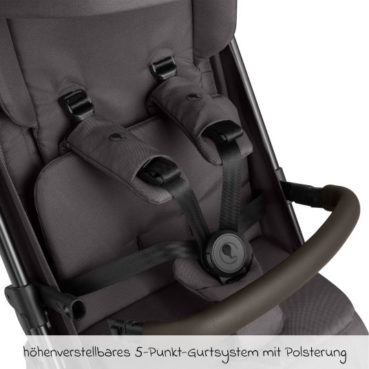 ABC Design Buggy & pushchair Ping 3 Trekking up to 22 kg with flat reclining position incl. seat insert, carry bag & shoulder strap - Falcon