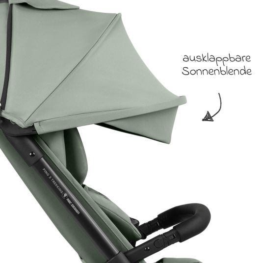 ABC Design Buggy & pushchair Ping 3 Trekking up to 22 kg with flat reclining position incl. seat insert, carry bag & shoulder strap - Pine