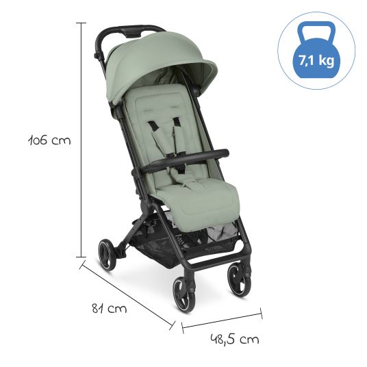 ABC Design Buggy & pushchair Ping Two incl. Reboarder Pearl Pro 2 - with flat reclining position, carrycot & shoulder strap - Classic Edition - Pine