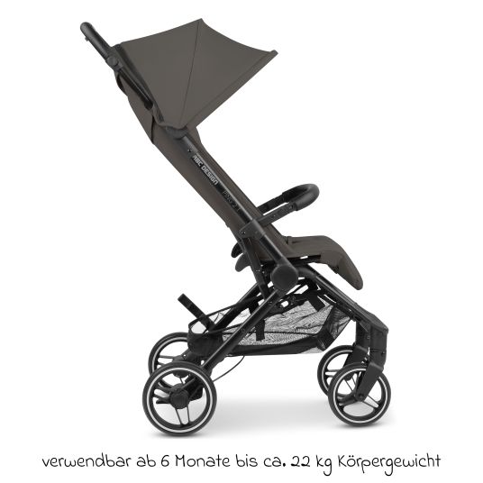 ABC Design Buggy & Sportwagen Ping Two Trekking mit flacher Liegeposition, Transporttasche und Tragegurt - Cloud