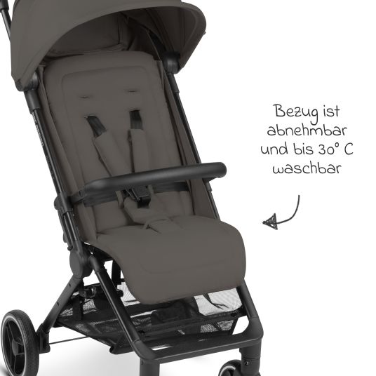 ABC Design Buggy & Sportwagen Ping Two Trekking mit flacher Liegeposition, Transporttasche und Tragegurt - Cloud