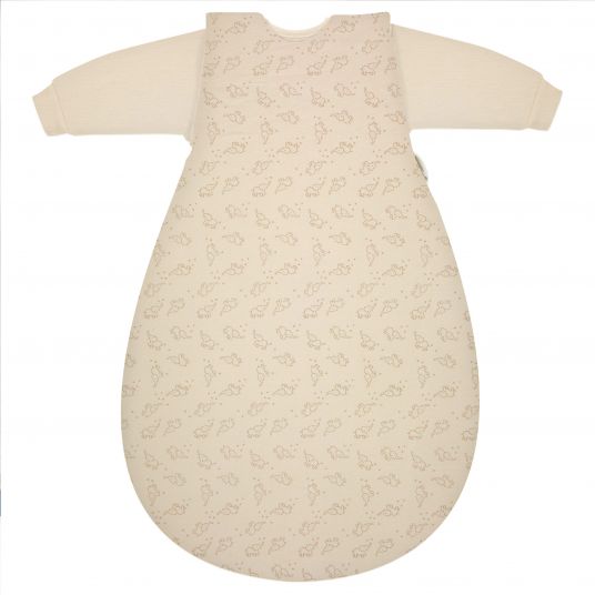 Alvi 4-tlg. Schlafsack-Set für Neugeborene / Baby-Mäxchen Bio-Baumwolle Gr.50/56 + Spuckschutz Clean & Dry Cover - Starfant