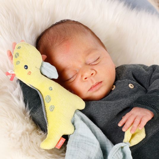 Fehn Cuddle cloth Dino - Happy Dino