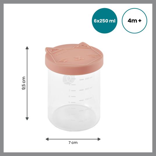 Babymoov Aufbewahrungsbehälter 6er Pack ISY Bowls aus Glas 250 ml