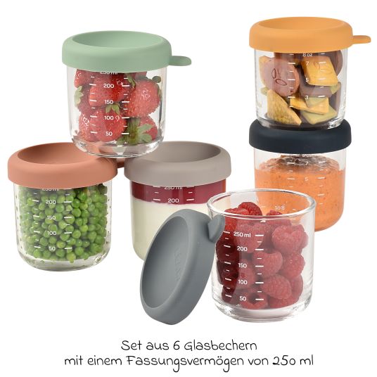 Beaba 6er Set Aufbewahrungsbehälter aus Glas 250 ml - Sunrise