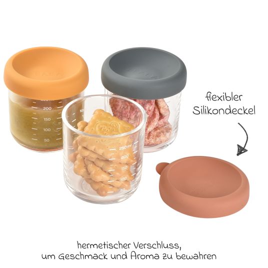 Beaba Aufbewahrungsbehälter 6er Pack aus Glas 250 ml - Sunrise