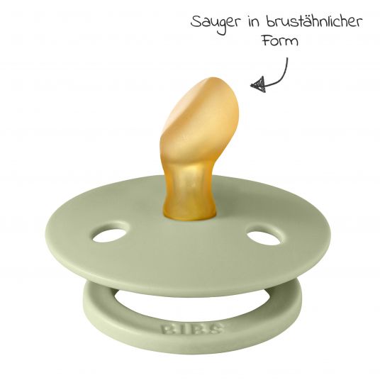 Bibs Schnuller 2er Pack Colour Anatomischer Sauger aus Naturkautschuk 0-6 M - Sage / Ivory