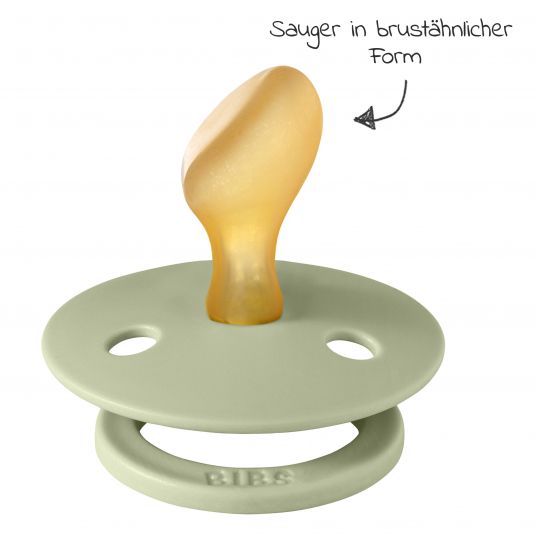 Bibs Schnuller 2er Pack Colour Anatomischer Sauger aus Naturkautschuk 6-18 M - Sage / Ivory