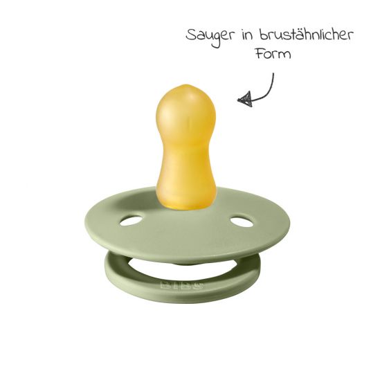Bibs Schnuller - Colour 2er Pack - Sage / Hunter Green - Gr. 0-6 M