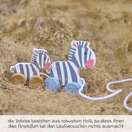 Bieco Disegna zebre giocattolo