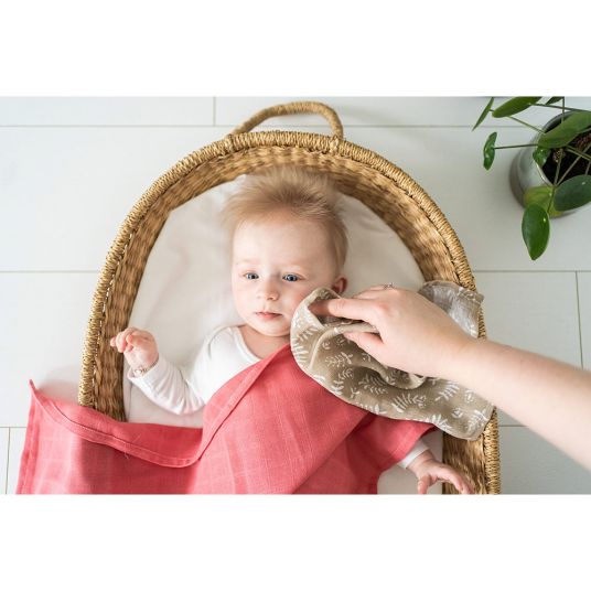 Briljant Baby Panno di garza / panno per l'allattamento 4 confezioni 30 x 30 cm - Botanico - Cotone organico - Sabbia