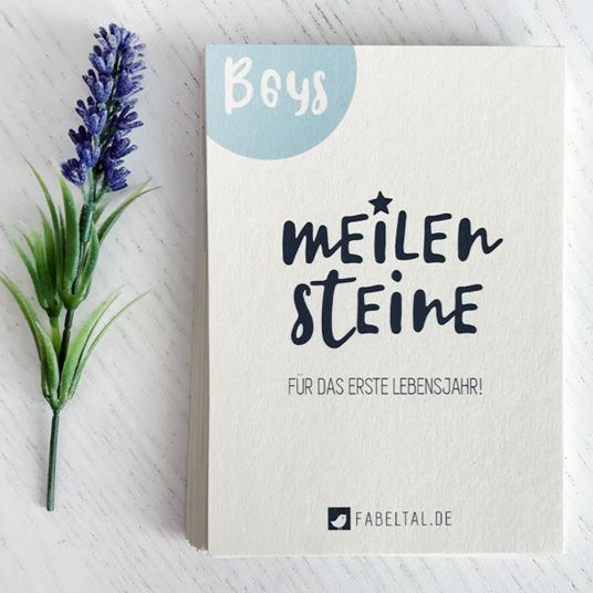Fabeltal Meilensteinkarten-Set (28 Karten) - Jungs