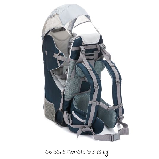 Fillikid Back carrier for baby and toddler with sunshade and accessories - Grey