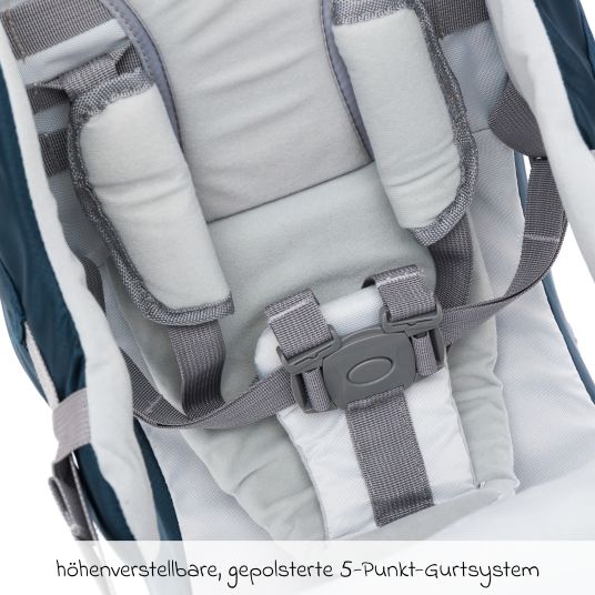 Fillikid Back carrier for baby and toddler with sunshade and accessories - Grey