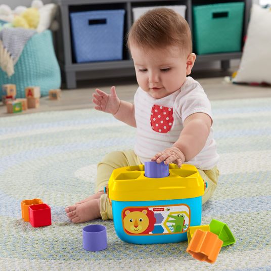 Fisher-Price Babies first building blocks