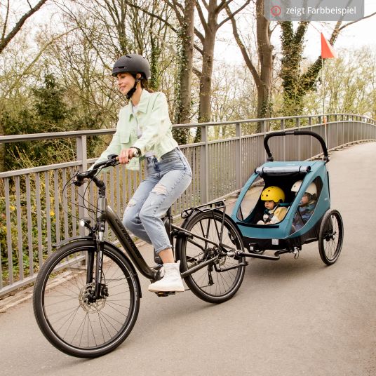 Hauck Rimorchio bici 2in1 Dryk Duo per 2 bambini (fino a 44 kg) - Rimorchio bici e City Buggy - incluso pacchetto di protezione GRATUITO - Grigio