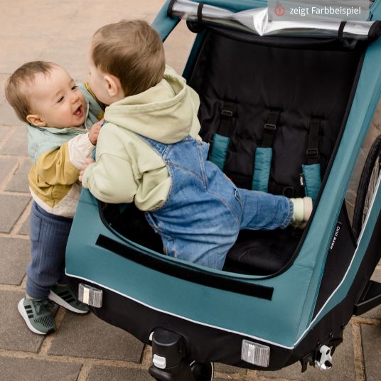 Hauck Rimorchio bici 2in1 Dryk Duo per 2 bambini (fino a 44 kg) - Rimorchio bici e City Buggy - incluso pacchetto di protezione GRATUITO - Grigio