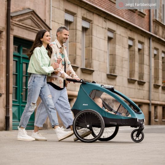 Hauck Rimorchio bici 2in1 Dryk Duo per 2 bambini (fino a 44 kg) - Rimorchio bici e City Buggy - incluso pacchetto di protezione GRATUITO - Grigio