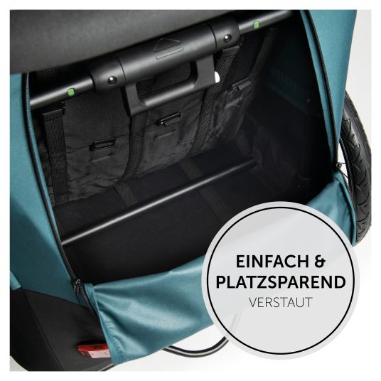 Hauck 2in1 Fahrradanhänger Dryk Duo für 2 Kinder (bis 44 kg) - Bike Trailer & City Buggy - inkl. GRATIS Schutzpaket - Grey