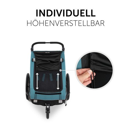 Hauck 2in1 Fahrradanhänger Dryk Duo für 2 Kinder (bis 44 kg) - Bike Trailer & City Buggy - inkl. GRATIS Schutzpaket - Grey