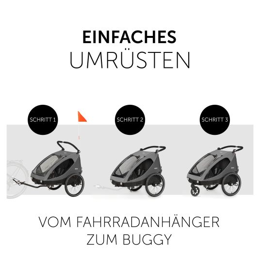 Hauck 2in1 Fahrradanhänger Dryk Duo für 2 Kinder (bis 44 kg) - Bike Trailer & City Buggy - inkl. GRATIS Schutzpaket - Grey