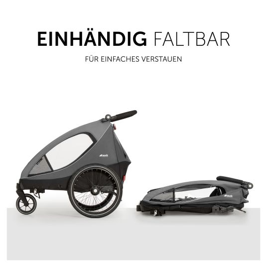 Hauck 2in1 Fahrradanhänger Dryk Duo für 2 Kinder (bis 44 kg) - Bike Trailer & City Buggy - inkl. GRATIS Schutzpaket - Grey