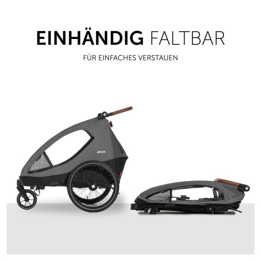 Hauck 2in1 Fahrradanhänger Dryk Duo für 2 Kinder (bis 44 kg) - Bike Trailer & City Buggy - inkl. GRATIS Schutzpaket - Melange Grey