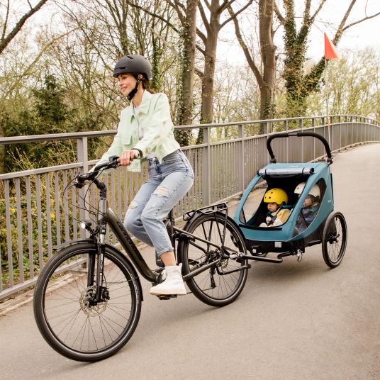 Hauck Rimorchio bici 2in1 Dryk Duo per 2 bambini (fino a 44 kg) - Rimorchio bici e City Buggy - incluso pacchetto di protezione GRATUITO - Benzina