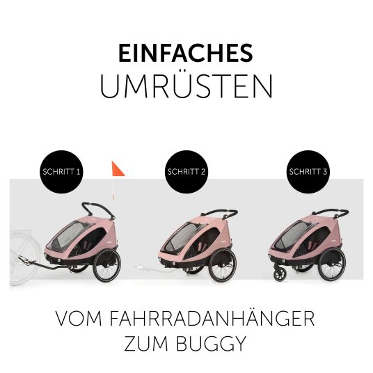 Hauck 2in1 Fahrradanhänger Dryk Duo für 2 Kinder (bis 44 kg) - Bike Trailer & City Buggy - inkl. GRATIS Schutzpaket - Rose