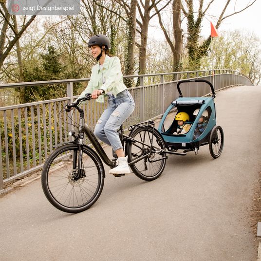 Hauck 2in1 Fahrradanhänger Dryk Duo für 2 Kinder (bis 44 kg) - Bike Trailer & City Buggy - Melange Grey