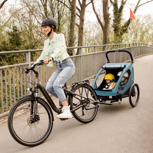 Hauck 2in1 bike trailer Dryk Duo for 2 children (up to 44 kg) - Bike Trailer & City Buggy - Ocean Green