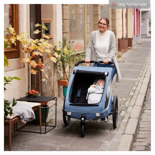 Hauck 2in1 Fahrradanhänger Dryk Duo Plus für 2 Kinder (bis 44 kg) - Bike Trailer & City Buggy - inkl. GRATIS Schutzpaket - Black