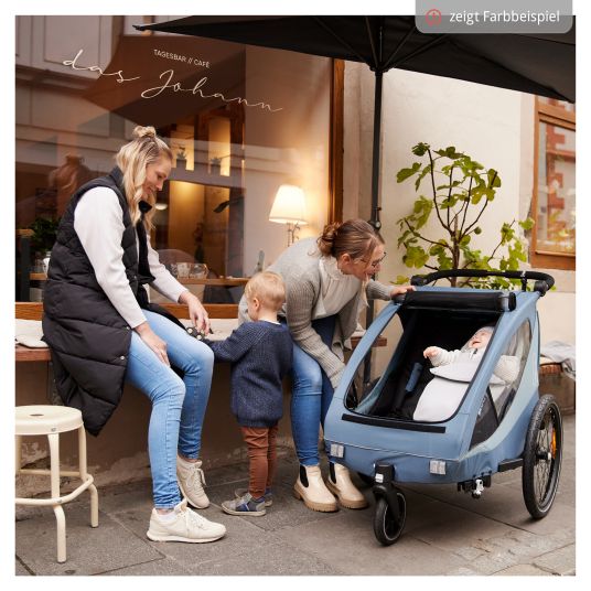 Hauck 2in1 Fahrradanhänger Dryk Duo Plus für 2 Kinder (bis 44 kg) - Bike Trailer & City Buggy - inkl. GRATIS Schutzpaket - Black