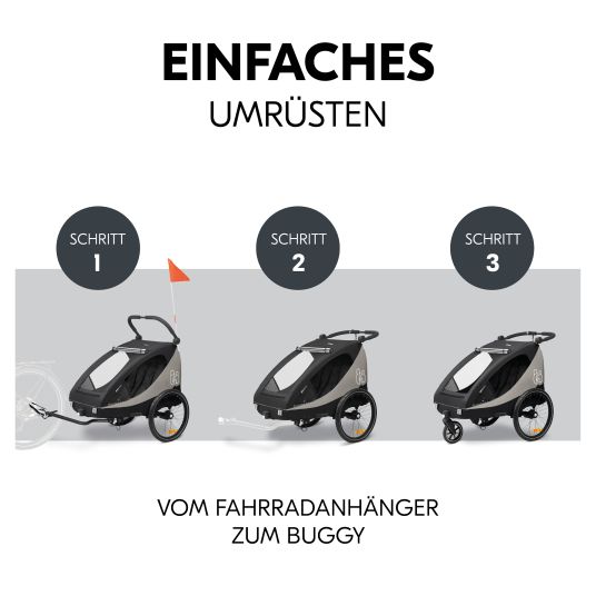 Hauck Rimorchio bici 2in1 Dryk Duo Plus per 2 bambini (fino a 44 kg) - Rimorchio bici e city buggy - incluso pacchetto di protezione GRATUITO - Nero