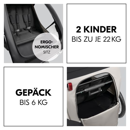 Hauck 2in1 Fahrradanhänger Dryk Duo Plus für 2 Kinder (bis 44 kg) - Bike Trailer & City Buggy - inkl. GRATIS Schutzpaket - Black