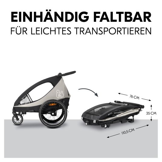 Hauck 2in1 Fahrradanhänger Dryk Duo Plus für 2 Kinder (bis 44 kg) - Bike Trailer & City Buggy - inkl. GRATIS Schutzpaket - Black