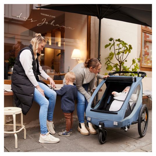 Hauck 2in1 Fahrradanhänger Dryk Duo Plus für 2 Kinder (bis 44 kg) - Bike Trailer & City Buggy - inkl. GRATIS Schutzpaket - Dark Blue