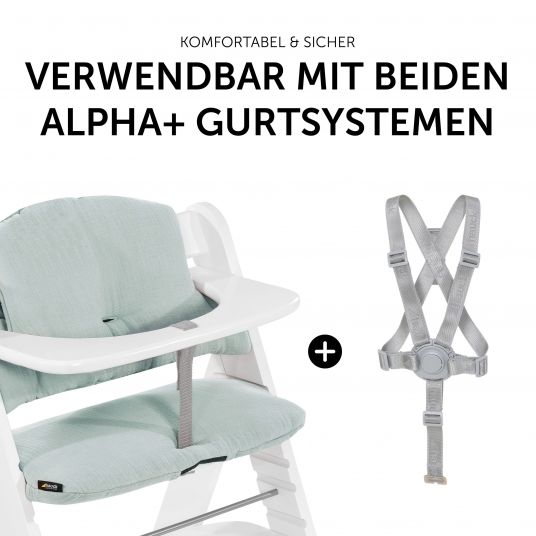 Hauck 5-tlg. Essbrett-Set für Alpha Plus - Click Tray + Sitzkissen + GRATIS 2x Silikon-Teller - White Muslin Mint