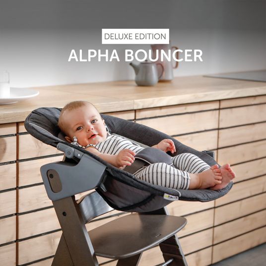 Hauck Alpha Plus Charcoal Newborn Set Deluxe - 4-tlg. Hochstuhl + 2in1 Neugeboreneneinsatz (verstellbar) + Sitzpolster