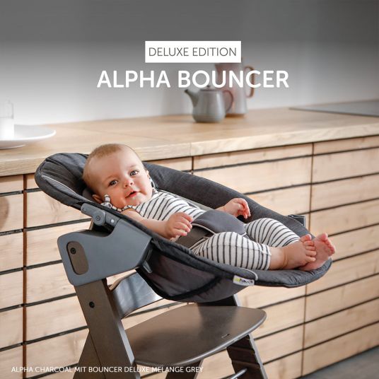 Hauck Alpha Plus Grau Newborn Set Deluxe - 4-tlg. Hochstuhl + Neugeborenenaufsatz Grey (Rückenlehne verstellbar) + Sitzkissen