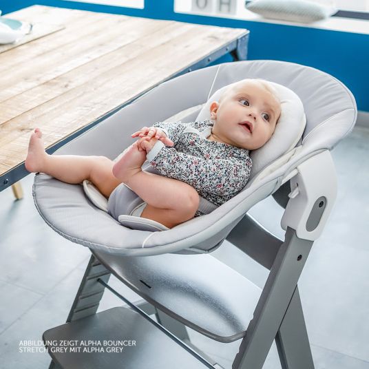 Hauck Alpha Plus Grey Newborn Set - 4-tlg. Hochstuhl + Neugeboreneneinsatz & Wippe Stretch Grey + Sitzpolster